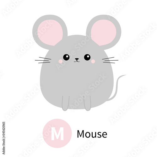 Letter M. Mouse. Zoo animal alphabet. English abc with cute cartoon kawaii funny baby animals. Education cards for kids. Isolated. White background. Flat design.