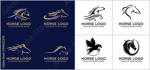 Horse logo concept design template