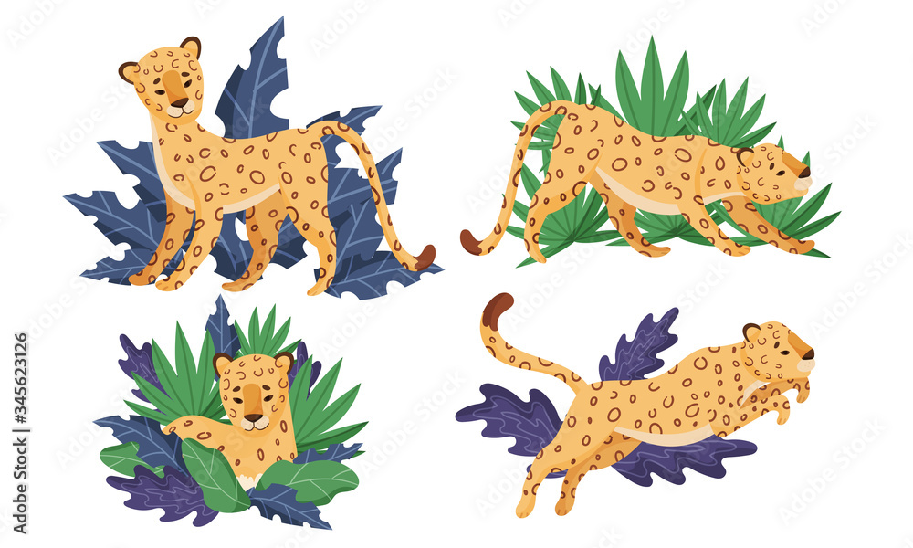 Obraz premium Spotted Leopard in Standing and Jumping Pose Vector Set
