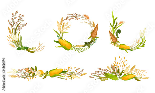 Agricultural Composition with Different Spikelets and Crops Like Corn and Wheatear Vector Set