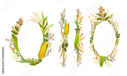 Agricultural Composition with Different Spikelets and Crops Like Corn and Wheatear Vector Set