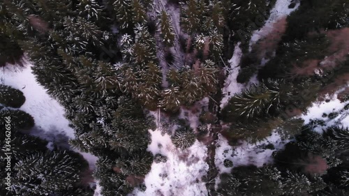 Aerial footage of forrest with snow