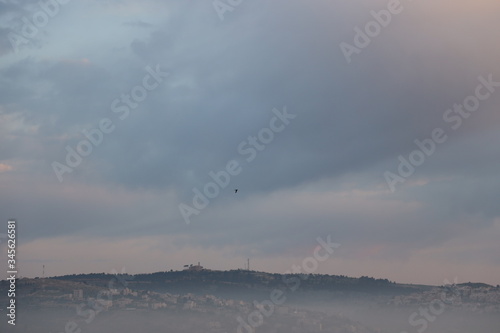 A bird in a cloudy sky