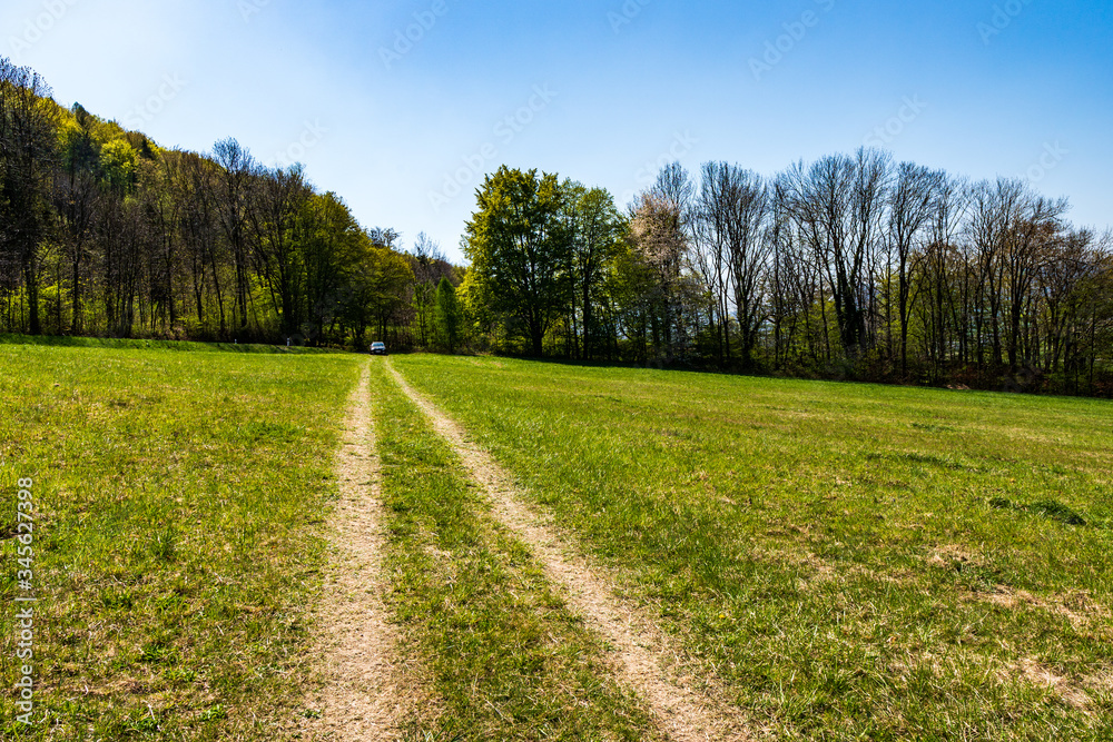 dirt road through a green field in spring on a clear day
