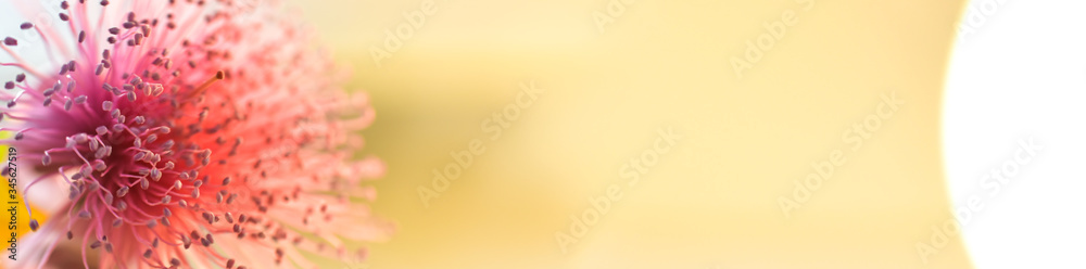 abstract background for web banners with space for text. HD Image and Large Resolution. can be used as wallpaper abstract background for web banners with space for text. HD Image and Large Resolution. can be used as wallpaper