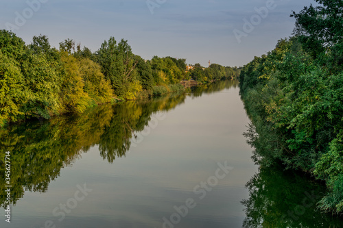 Summer forest landscap, bank of the river and its mirror reflection in the water. Green and yellow, beautiful scenery.
