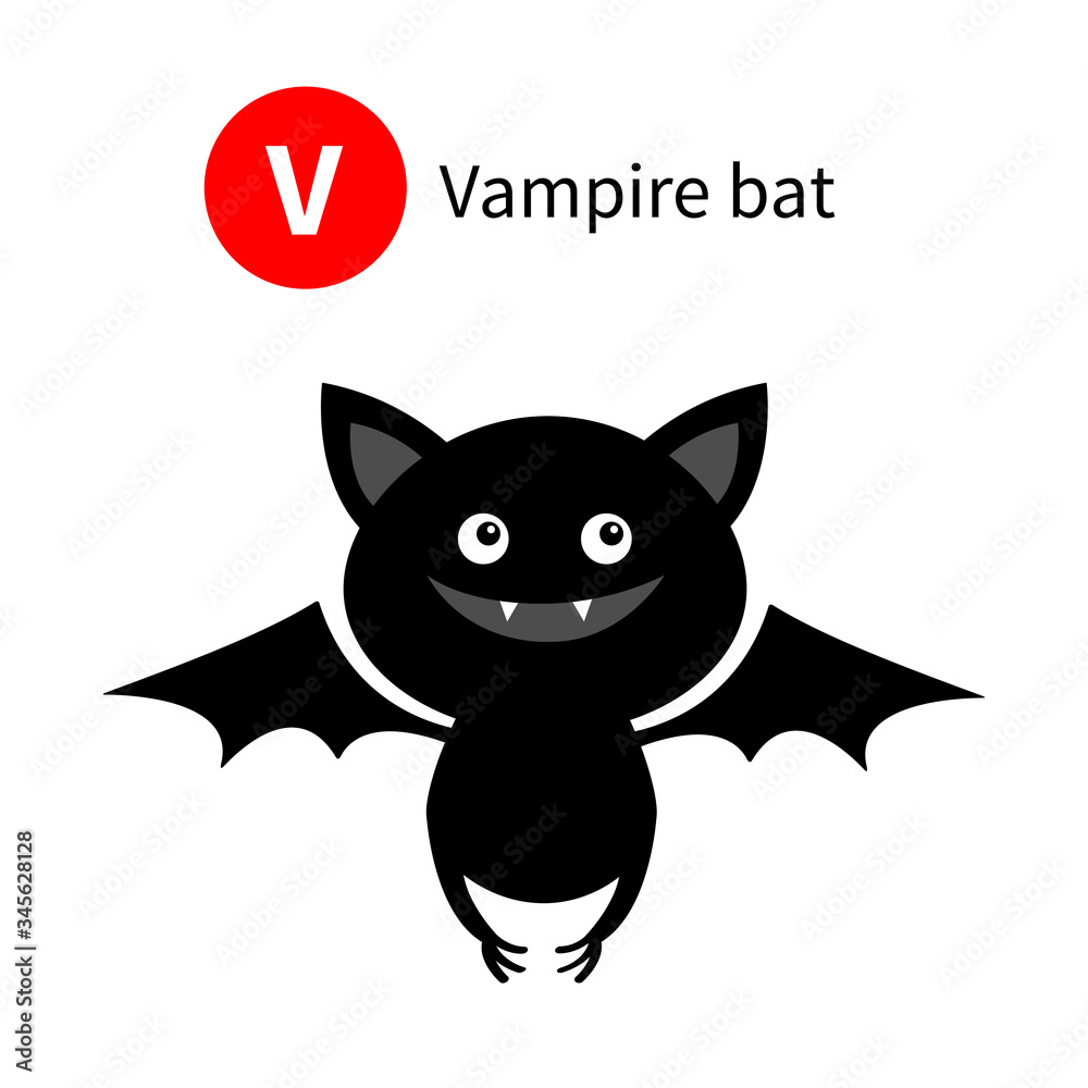 Letter V. Vampire bat. Zoo animal alphabet. English abc with cute cartoon  kawaii funny baby animals. Education cards for kids. Isolated. White  background. Flat design. Stock Vector | Adobe Stock