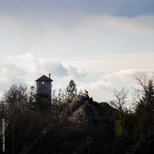 Burgfried Reschenstein