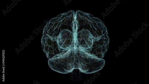 3d animation graphic design of brain and brain stem in alpha background. Brain showing and spinning with mri scan in creativity model and health concept with wire frames alpha transparent background. photo