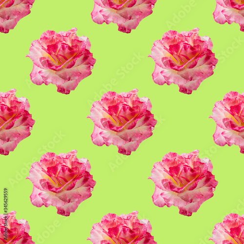 Flower seamless pattern. Pink rose isolated on green background. Nature floral background. © geshas