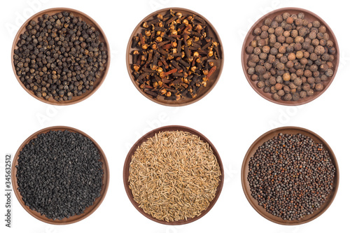 Set of spice in clay plates: cloves, black pepper, allspice, mustard seeds, cumin (jeera) isolated on white background