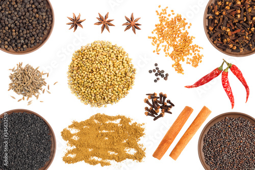 Fototapeta Naklejka Na Ścianę i Meble -  Set of spice: cloves, black pepper, red chili pepper, fenugreek, mustard seeds, cumin (jeera), star anise, coriander isolated on white background in bunch