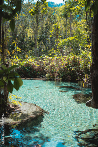 Beautiful nature the jungle turquoise green river
