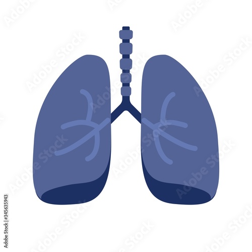 Lung or human lungs icon with bronchial system vector flat cartoon illustration isolated on white background