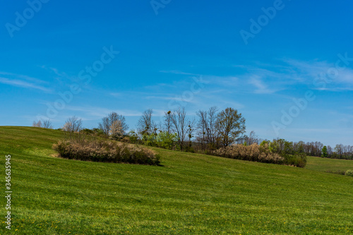 green pastures and trees blooming in spring on a clear day with blu e sky  czech beskydy
