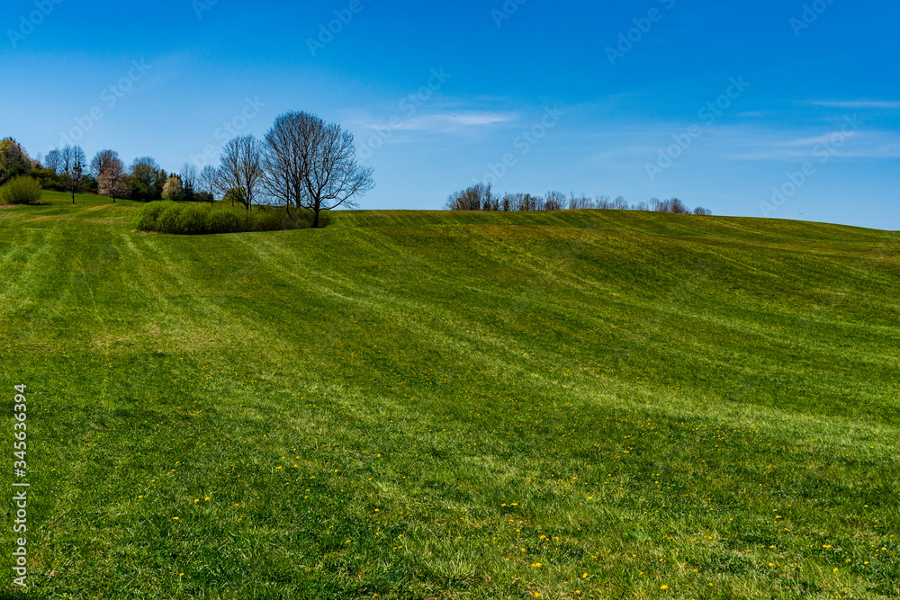 green pastures and trees blooming in spring on a clear day with blu e sky, czech beskydy green pastures and trees blooming in spring on a clear day with blu e sky, czech beskydy