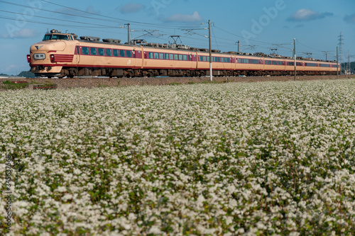 特急電車と蕎麦の花
