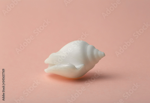 Background pink color with seashells. Sea and ocean background with white shell. Copy space