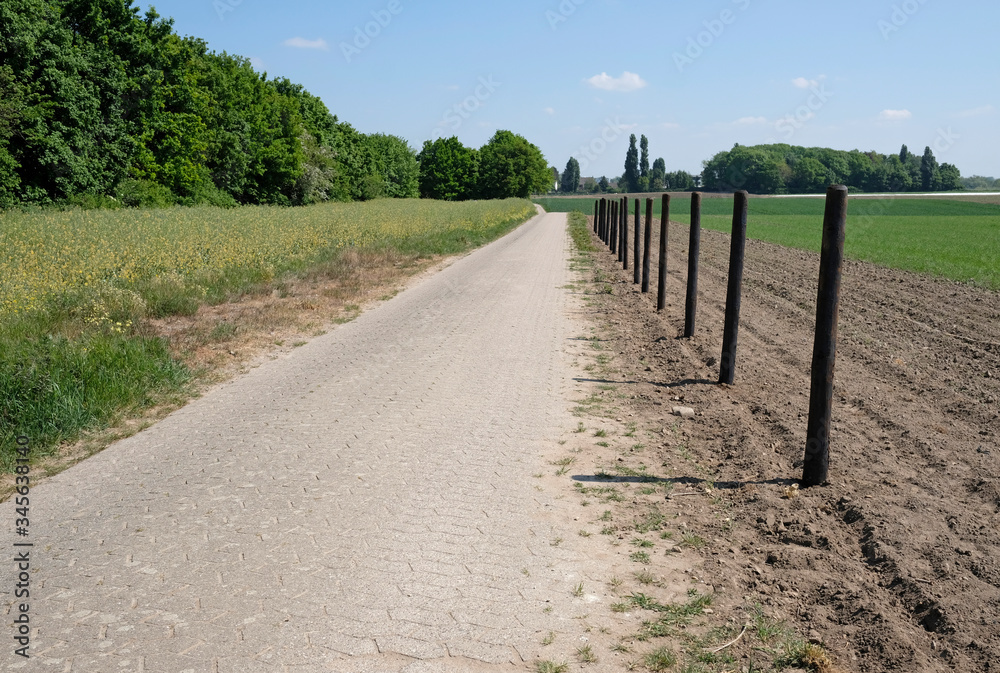 Empty road with fence posts in a rural area