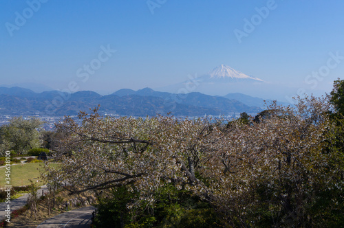 静岡日本平からの富士山