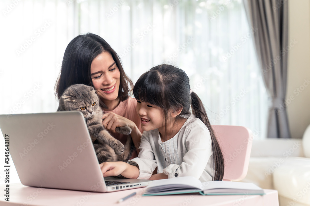 Asian young girl learn online education class, play with cat at home.