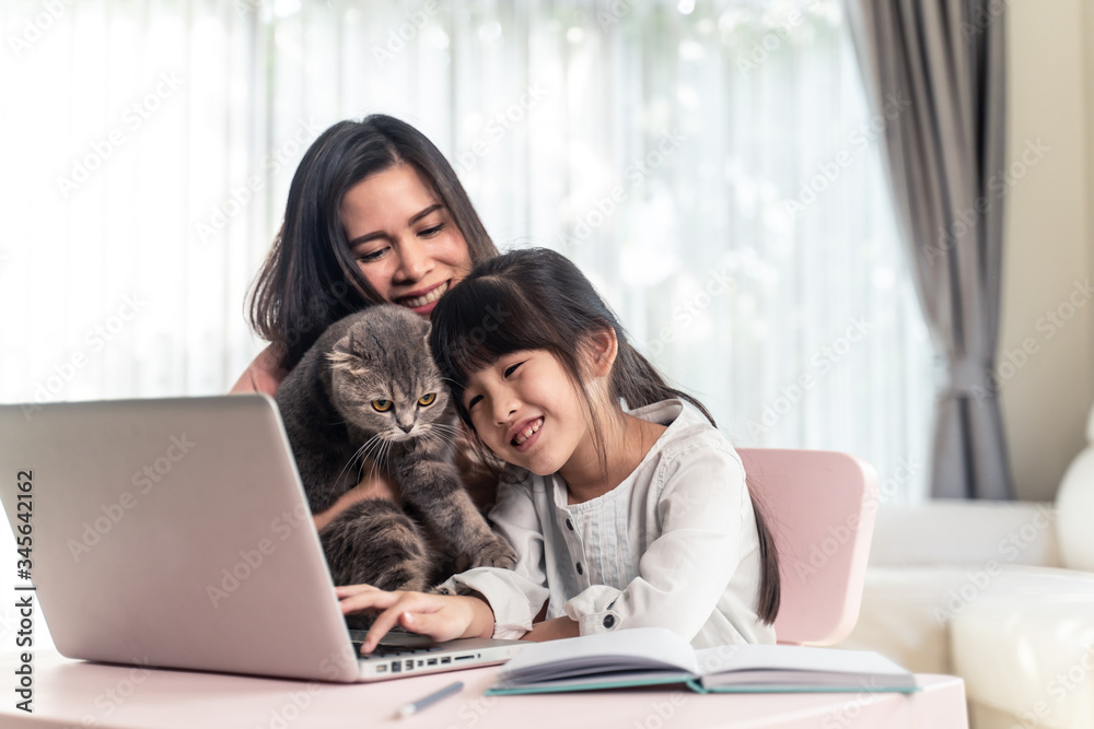 Asian young girl learn online education class, play with cat at home. Asian young girl learn online education class, play with cat at home.