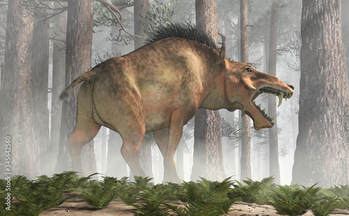 Fototapeta Naklejka Na Ścianę i Meble -  The Entelodon, or hell pig, is an extinct prehistoric pig or boar-like mammal that lived during the Eocene and Miocene, depicted in a forest . 3D Rendering
