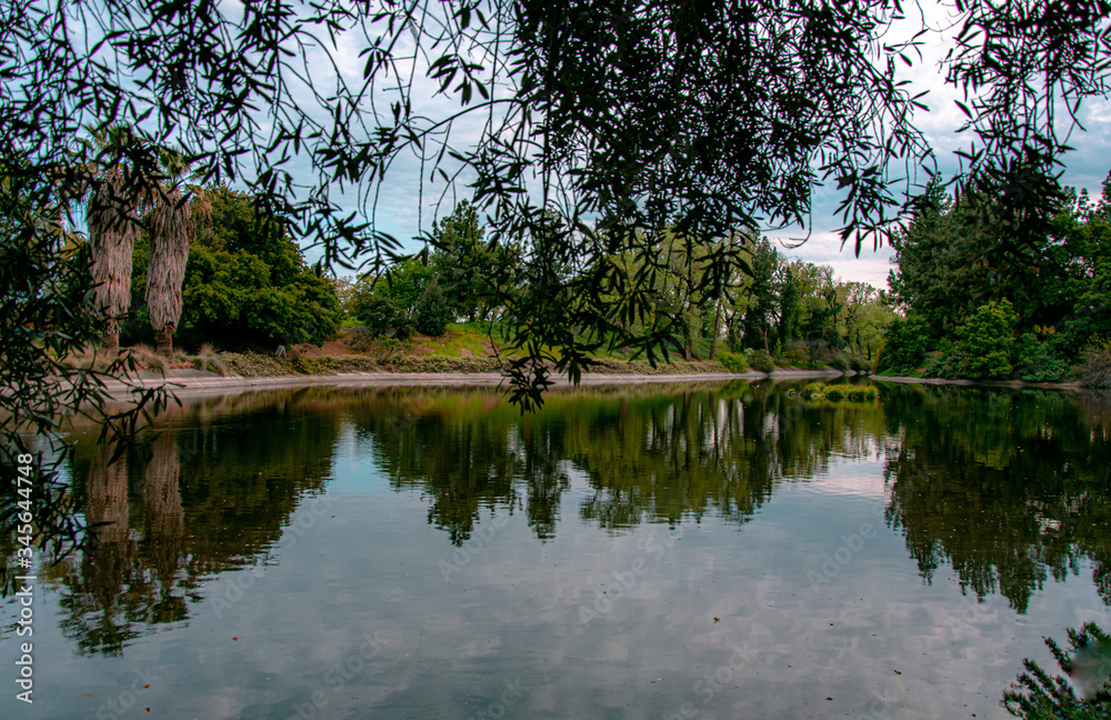 Fototapeta premium Davis Arboretum