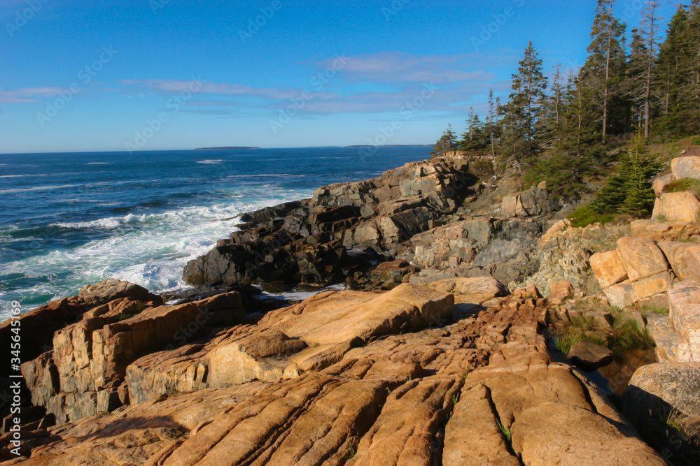 Rocky Beach on the Atlantic Ocean, Otter Point,Acadia National Park, Maine, USA