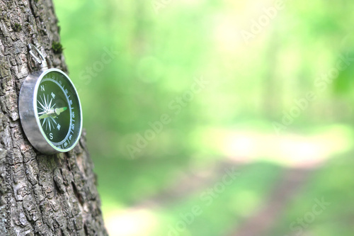 Old iron compass on tree in forest with blurred green background for inscription
