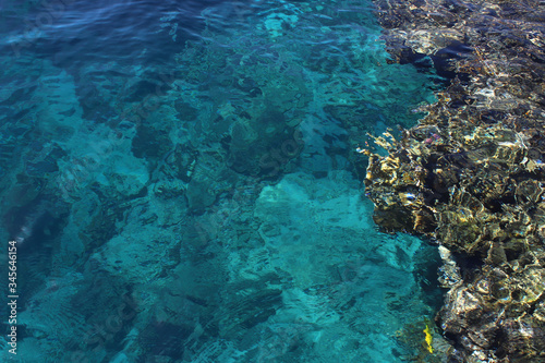 Turquoise water and multi-colored corals of the Red Sea. Great texture and background. Photo through the surface of the water. Transparent and clear