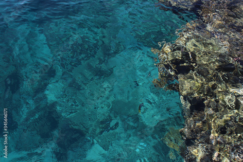 Turquoise water and multi-colored corals of the Red Sea. Great texture and background. Photo through the surface of the water. Transparent and clear © yuliakrawetz