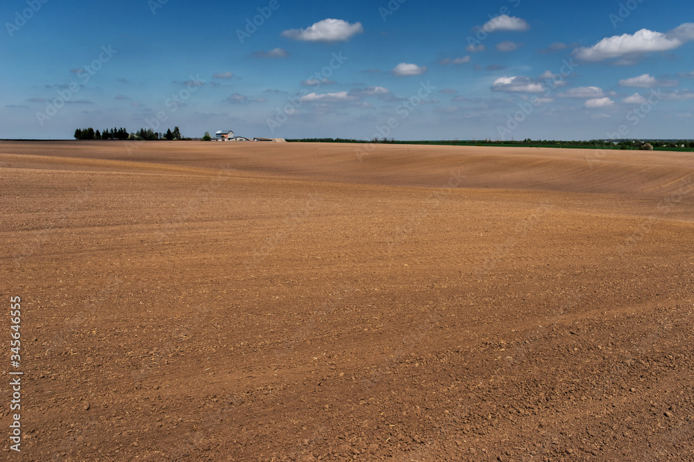 Fototapeta premium spring field work