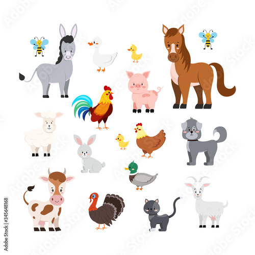 Farm animals set isolated on white background.