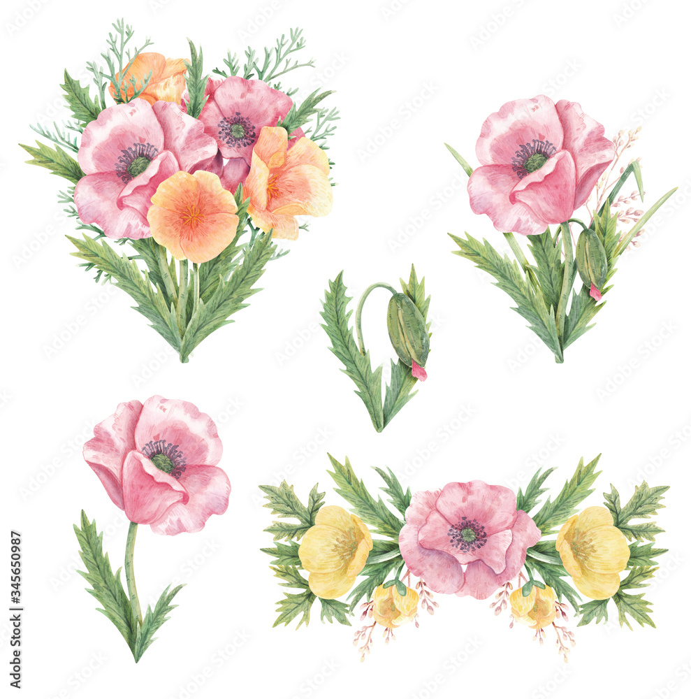 Hand-drawn set of watercolor floral illustrations. Compositions with poppy, California poppy, buttercups, leaves and herbs. Botanical illustrations for design, invitations, cards, stickers. 