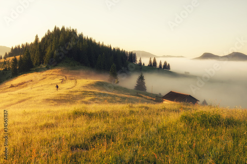 Summer sunny morning landscape in the mountains. Sunrise nature beauty world