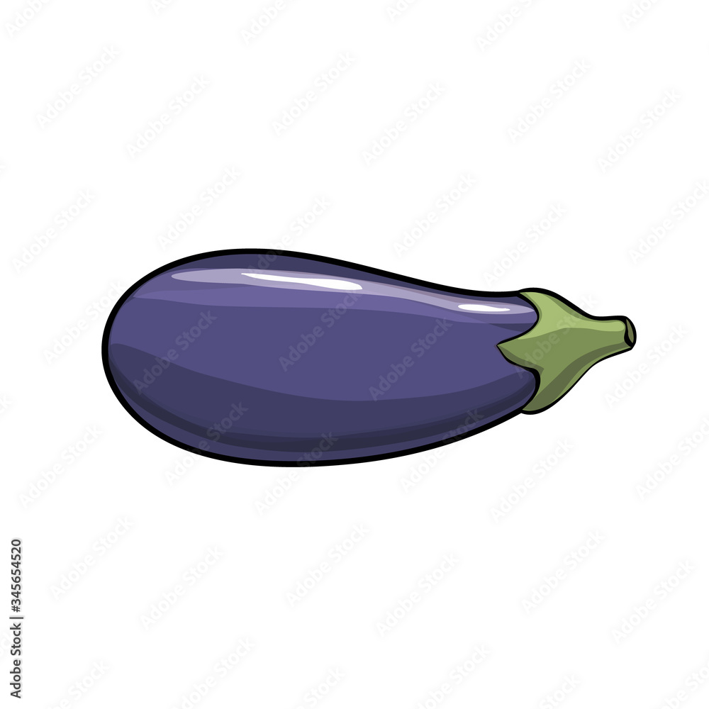 Vector. Aubergine. Eggplant on the white background Vector. Aubergine. Eggplant on the white background