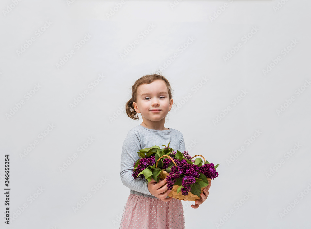 Portrait of a little girl with a basket of lilacs. Cute girl in a grey dress with a tail on a white background.Copy space Portrait of a little girl with a basket of lilacs. Cute girl in a grey dress with a tail on a white background.Copy space