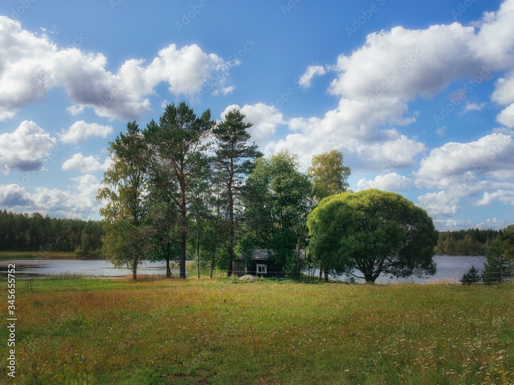 Summer in the Finnish forest by the lake Summer in the Finnish forest by the lake