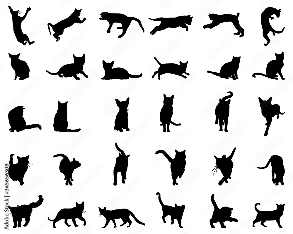 Big set of cats silhouettes on a white background