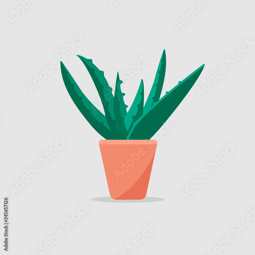 A vector graphic illustration of a aloe vera plant in pot