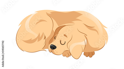 Concept Of Animal Care And Shelter. Pretty Dog Is Sleeping Putting His Head On Paws. Animal Care, Adoption And Support. Lazy Dog Sleeps At Home At His Place. Cartoon Flat Style. Vector Illustration