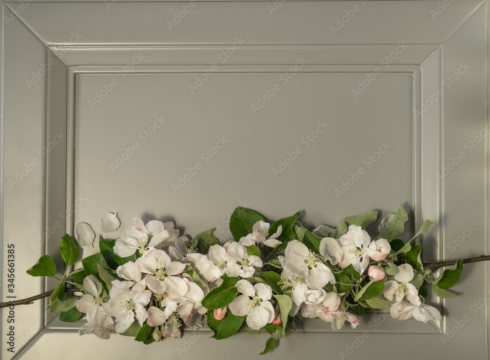 Spring apple blossom branches over gray background. Top view Spring apple blossom branches over gray background. Top view
