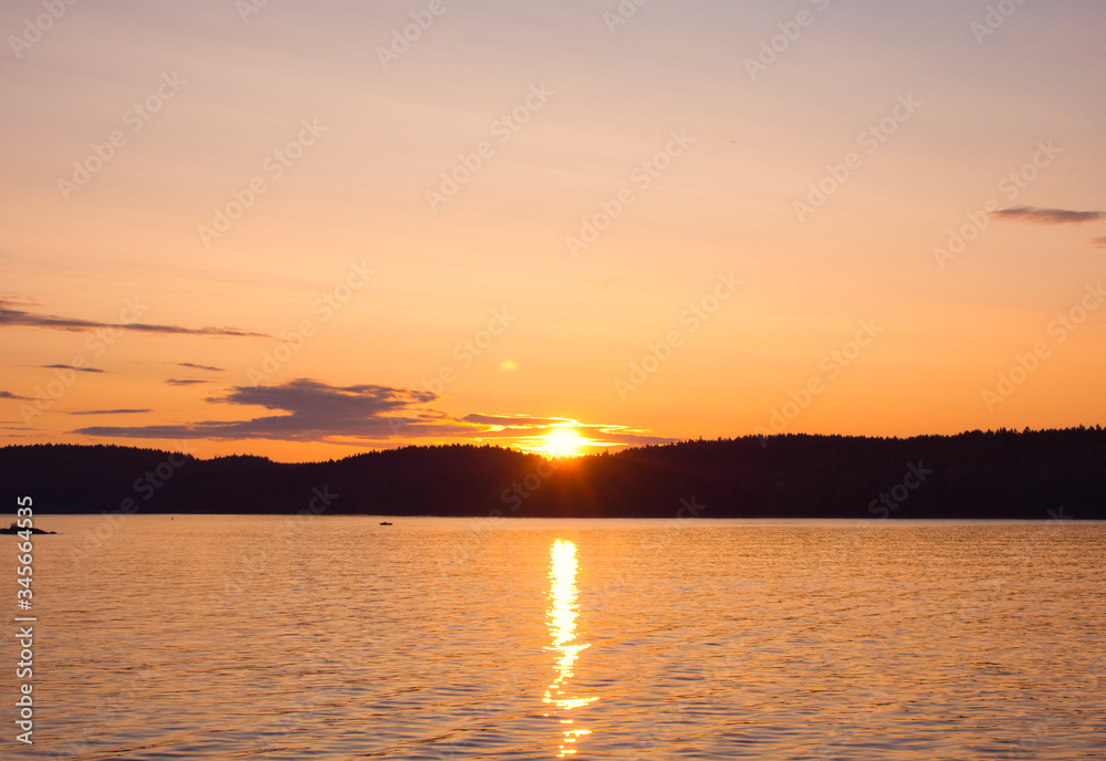 The sun sets behind a black silhouetted forest The sun sets behind a black silhouetted forest
