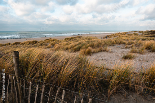 Dunes landscape holland netherlands beach relaxing  travel vacation holidays  photo