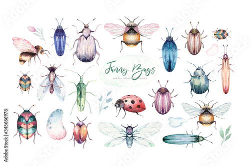 Set of watercolor bright beetles, bugs fly and bees. Isolated colorful cartoon buttle and bug. Insect set decoration © kris_art