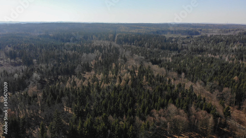 Forrest Arial view