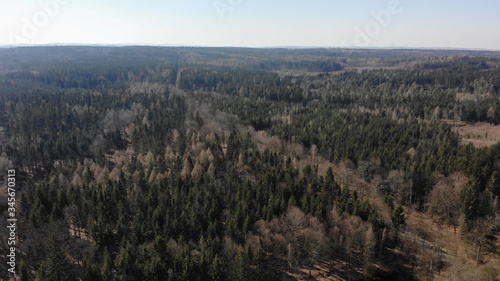 Forrest Arial view