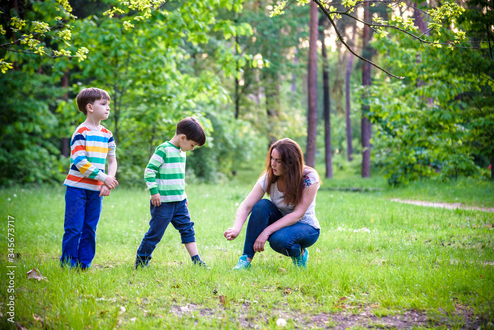 Fototapeta premium Young woman mother applying insect repellent to her two son before forest hike beautiful summer day or evening. Protecting children from biting insects at summer. Active leisure with kids