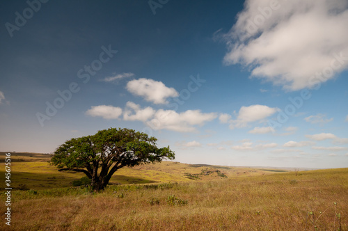 Landscape plains in Salalah  Dhofar  Oman